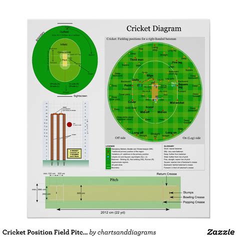 Cricket Field Dimensions Layout