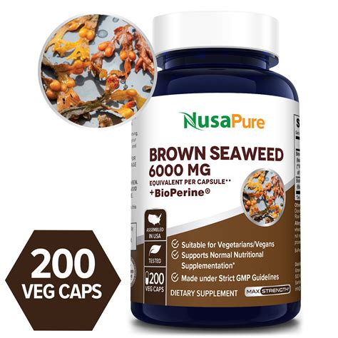 Best Brown Seaweed Extract 500mg 200 Capsules (NON-GMO) – Fucoidan – Natural Dietary Supplement ...