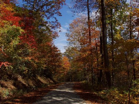 Fall Foliage, Pisgah National Forest, North Carolina | Flickr