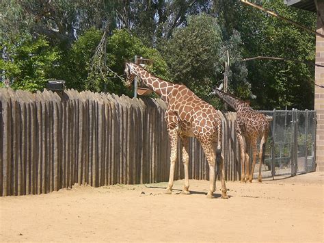 Greatly Blessed: Sacramento Zoo