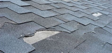 The 5 Least Obvious Signs of Roof Damage | Hopewell Roofing