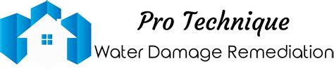 Pro Technique Water Damage Remediation And Mold Removal