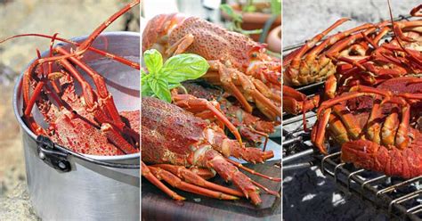 Delicious recipe: lobster or “kreef” - FinGlobal