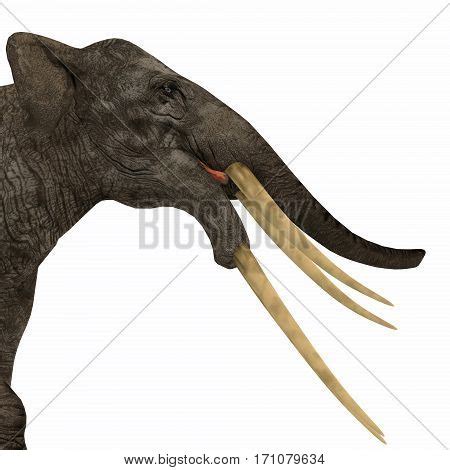 Stegotetrabelodon Image & Photo (Free Trial) | Bigstock