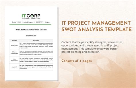 Financial Analysis for Project Management Template in Word, PDF, Google ...