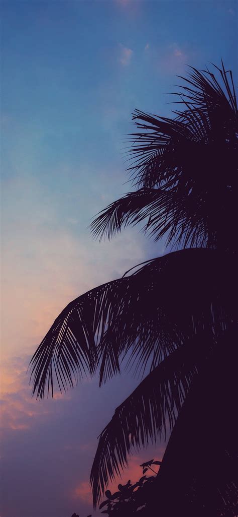 Chill vibes. | Chill wallpaper, Scenery wallpaper, Sky aesthetic