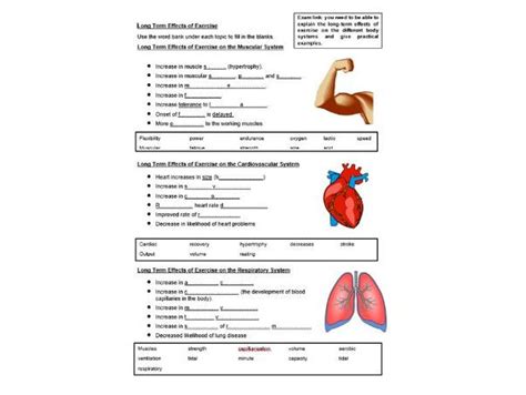 Effects of Exercise GCSE PE | Teaching Resources