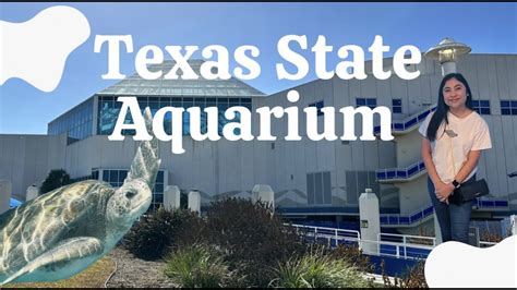 Exploring the Texas State Aquarium @ Corpus Christi! | First Time - YouTube