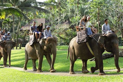 BALI ELEPHANT SAFARI RIDE TOUR | RIDING AN ELEPHANT AT TARO VILLAGE