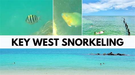 Best Key West snorkeling spots for beginners from shore or beach without a boat or tour ...