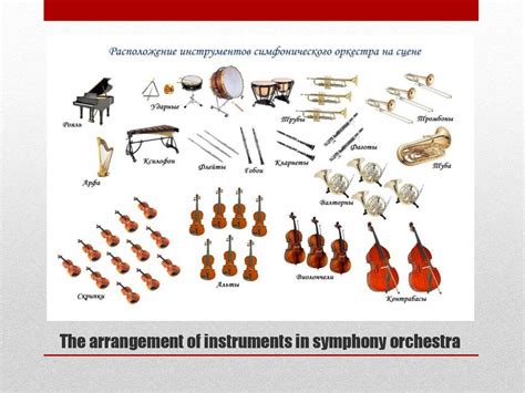 Symphony Orchestra Instruments