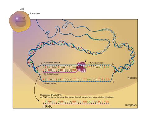 Vaccine Technology: How MRNA Changed the Fight Against Covid-19 | Courthouse News Service