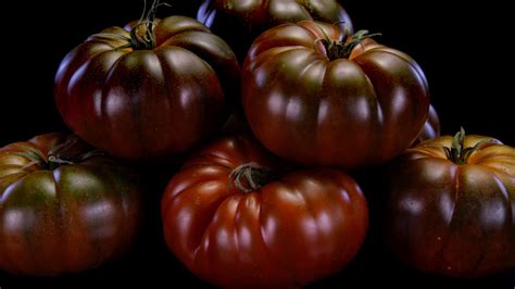 18 Black (Or Nearly Black) Tomato Varieties - Tomato Bible