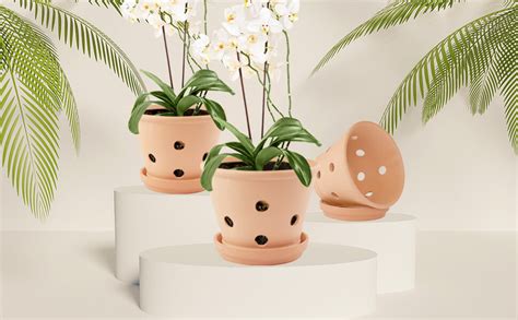 Amazon.com: vensovo 8 Inch Clay Orchid Pots with Drainage Holes and Saucers - 2 Pcs Small ...