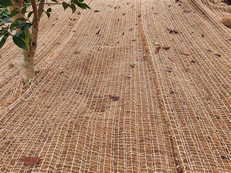 Strol - Coconut Matting - Jute Reinforced & Biodegradable