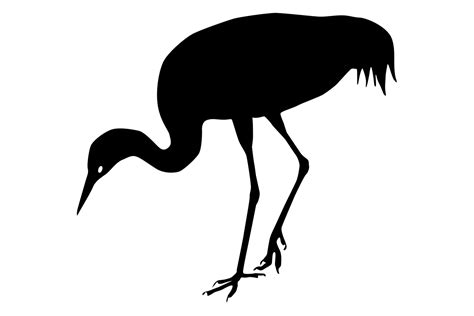 Sandhill Crane Bird Silhouette Graphic by iDrawSilhouettes · Creative ...