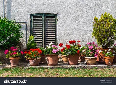 26,770 Italian village flowers Images, Stock Photos & Vectors ...