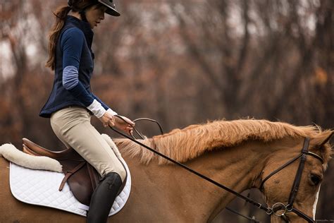 Horse Riding: Discover the Basics of Equestrian Apparel - Sherlocks.com ...