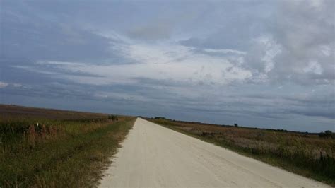 Kissimmee Prairie Preserve State Park in Florida - Camping, hiking, biking! - Florida Family Nature