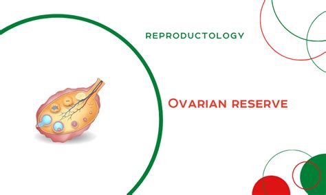 Ovarian reserve – Lada Clinic