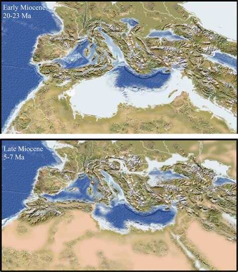 Miocene Epoch Map