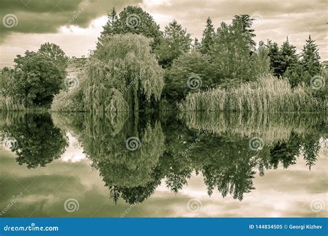 Black and White Landscape with Lake 2 Stock Image - Image of natural ...