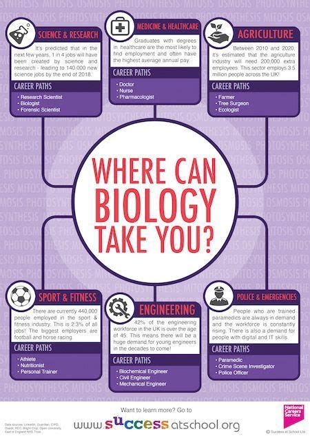 Careers in Biology: Where Can GCSE & A-Level Biology Take You? | A ...