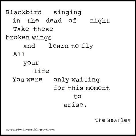 My Purple Dreams: Blackbird?