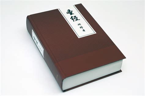 Chinese Study Bible - UBS China Partnership