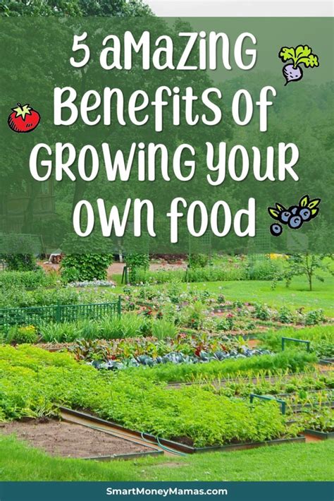 5 Benefits of Growing Your Own Food - Smart Money Mamas