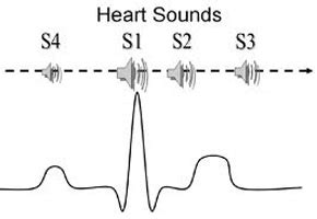 The Visible Heart® Laboratory