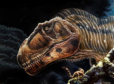 Meraxes Gigas: Giant New Carnivorous Dinosaur Discovered With Tiny Arms Like T. rex