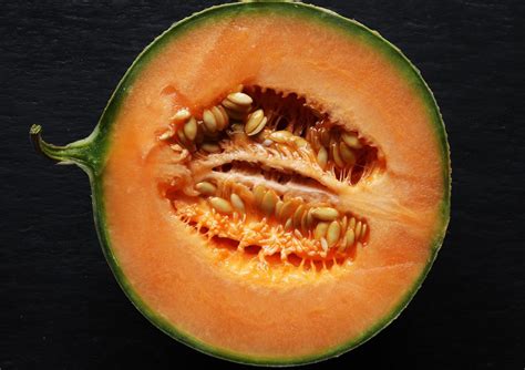 Muskmelon isolated on slate 1410100 Stock Photo at Vecteezy