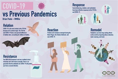 Examining COVID-19 versus previous pandemics - BYU Life Sciences