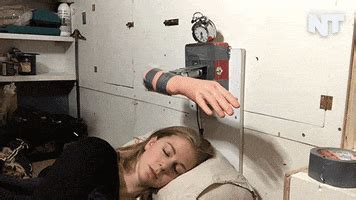 Wakes Up GIFs - Find & Share on GIPHY