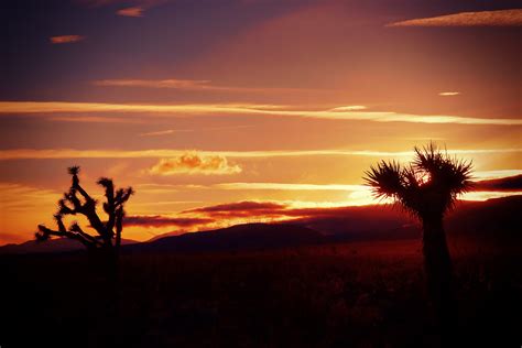 Mojave Desert Sunset | Mark Peacock | Flickr