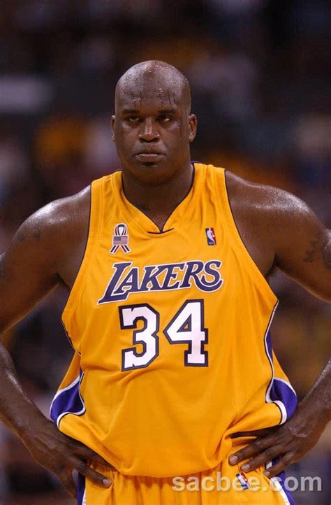 Shaquille O'neal Ukuran Sepatu - Riadewntc