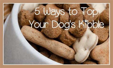 What Are The Best Dog Kibble Toppers?