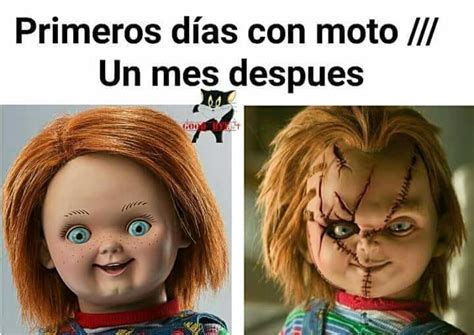 MEMES DE CHILD'S PLAY - 2 | Frases de chucky, Chistes y bromas, Memes