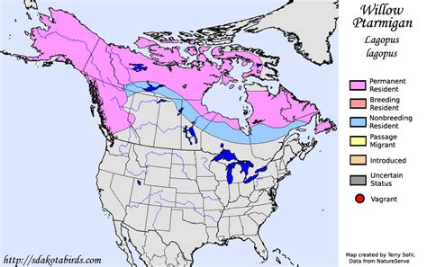 Willow Ptarmigan - Species Range Map