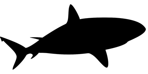SVG > ocean jaws water shark - Free SVG Image & Icon. | SVG Silh