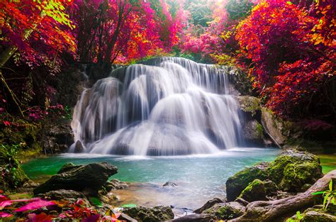 Wall mural waterfall, landscape, red tree leaves, rocks | Lunares Store