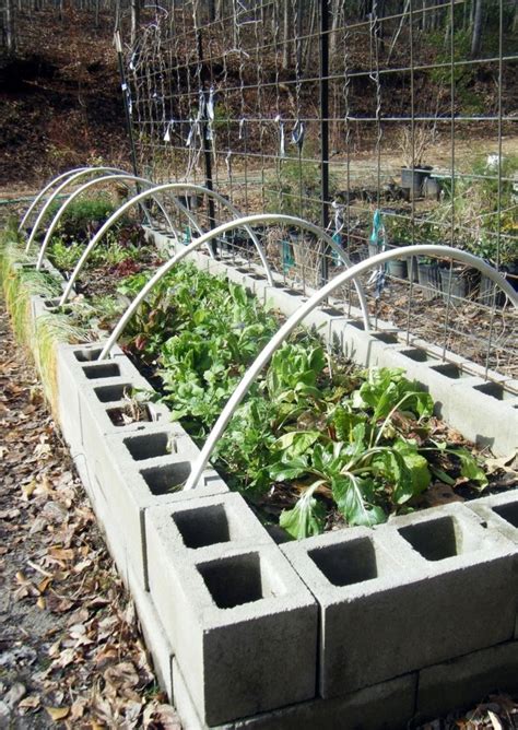 How To Build Raised Garden Bed With Concrete Blocks