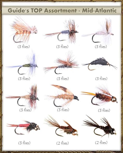 Amazon.com : Fly Fishing Flies - Guide's TOP Assortment - MID-Atlantic (34 Flies) : Dry Fishing ...