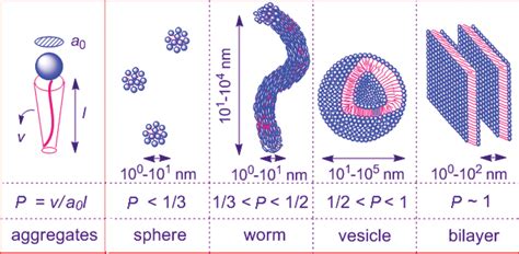 Chapter 1 Wormlike Micelles: An Introduction (RSC Publishing) DOI:10.1039/9781782629788-00001