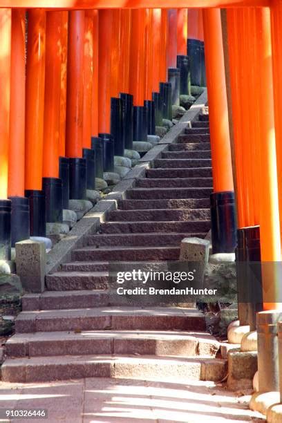 283 Black Temple Entrance Stock Photos, High-Res Pictures, and Images ...