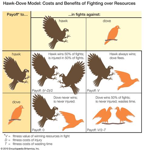 Aggressive behavior | Definition, Causes, Examples, & Facts | Britannica