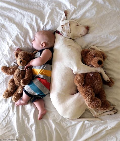 Mother captures adorable snaps of sleeping babies snuggled up with ...