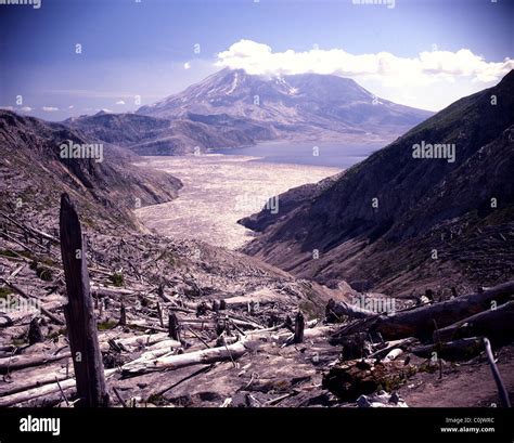 Spirit Lake with Mt. St. Helens after Eruption of 5-18-1980 Stock Photo ...