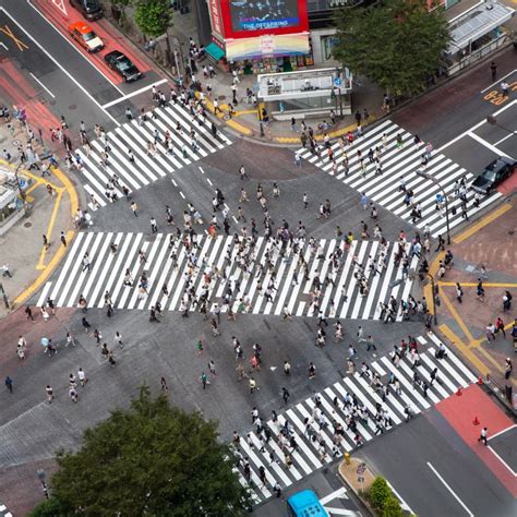 Shibuya Crossing in Tokyo editorial stock photo. Image of japanese - 113567328